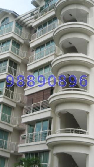 Wilkie Regency (D9), Apartment #72862671